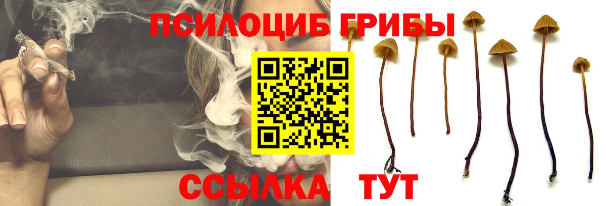 Галлюциногенные грибы MAGIC MUSHROOMS  Вход с VPN  Рассказово 